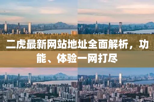 二虎最新网站地址全面解析，功能、体验一网打尽