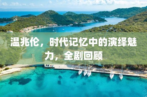 温兆伦，时代记忆中的演绎魅力，全剧回顾