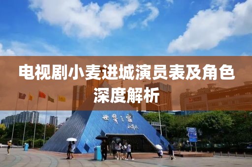 电视剧小麦进城演员表及角色深度解析