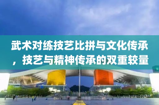 武术对练技艺比拼与文化传承，技艺与精神传承的双重较量