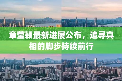 章莹颖最新进展公布，追寻真相的脚步持续前行