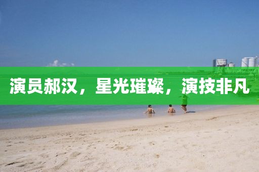 演员郝汉，星光璀璨，演技非凡