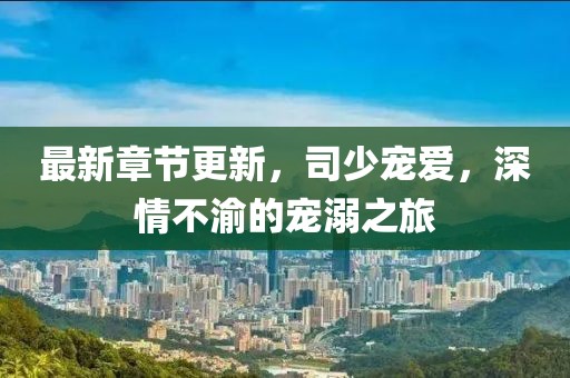 最新章节更新，司少宠爱，深情不渝的宠溺之旅