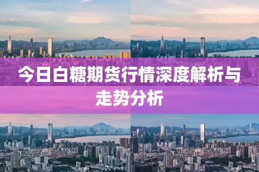 今日白糖期货行情深度解析与走势分析