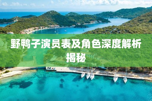 野鸭子演员表及角色深度解析揭秘