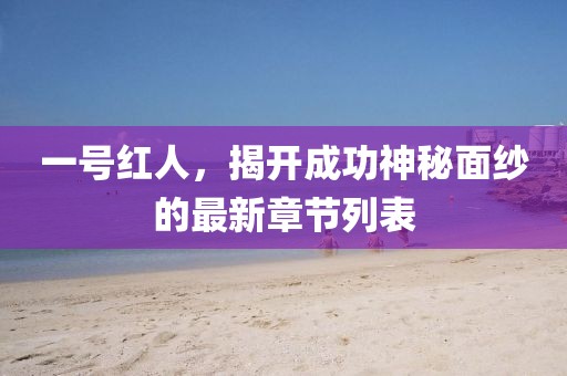 一号红人，揭开成功神秘面纱的最新章节列表