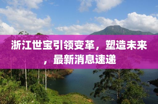 瑞星之旅 第4页