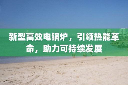 海上的孤盗 第5页