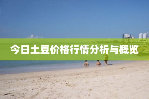 今日土豆价格行情分析与概览