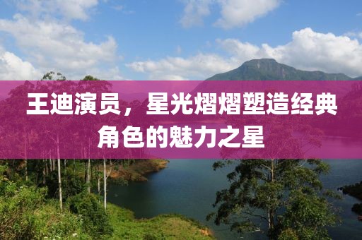 王迪演员，星光熠熠塑造经典角色的魅力之星