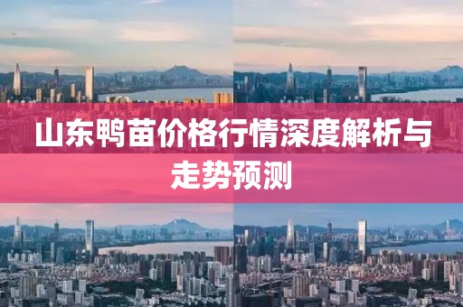 山东鸭苗价格行情深度解析与走势预测