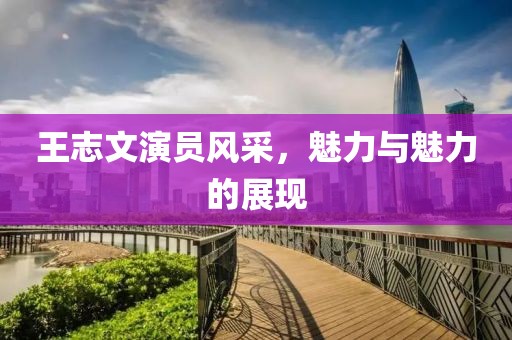 王志文演员风采，魅力与魅力的展现