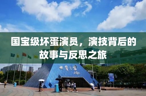 国宝级坏蛋演员，演技背后的故事与反思之旅