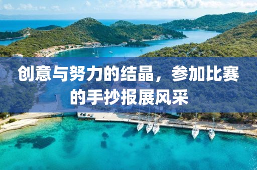 创意与努力的结晶，参加比赛的手抄报展风采