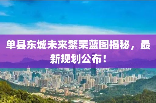 单县东城未来繁荣蓝图揭秘，最新规划公布！