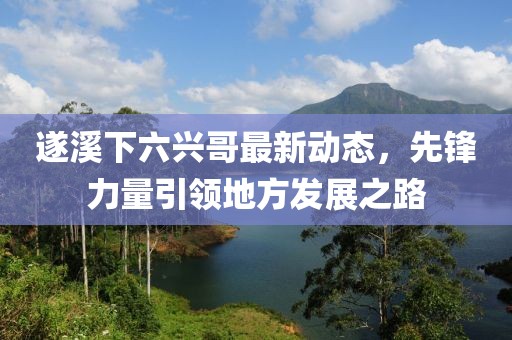 遂溪下六兴哥最新动态，先锋力量引领地方发展之路