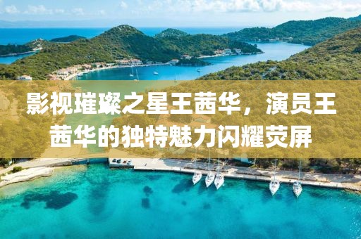 影视璀璨之星王茜华，演员王茜华的独特魅力闪耀荧屏