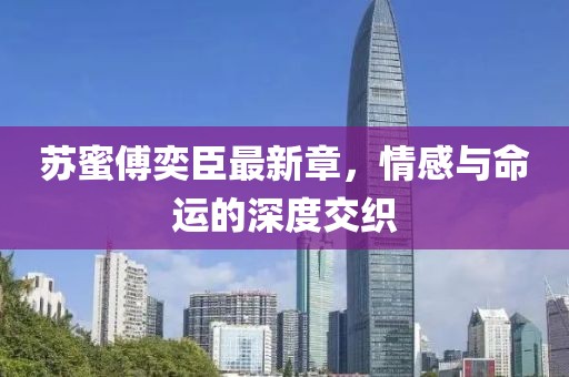 苏蜜傅奕臣最新章，情感与命运的深度交织