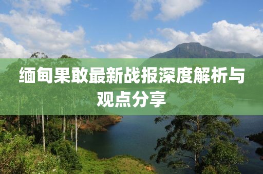 缅甸果敢最新战报深度解析与观点分享