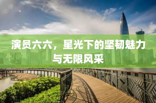 演员六六，星光下的坚韧魅力与无限风采