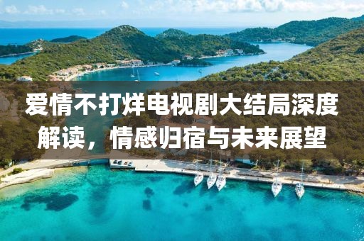 爱情不打烊电视剧大结局深度解读，情感归宿与未来展望