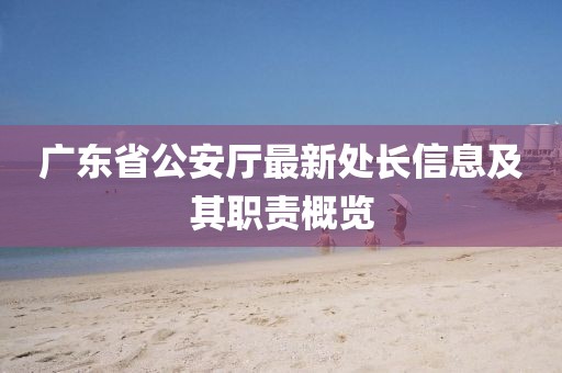 广东省公安厅最新处长信息及其职责概览