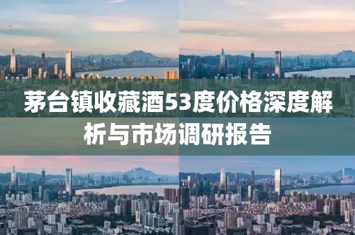 茅台镇收藏酒53度价格深度解析与市场调研报告