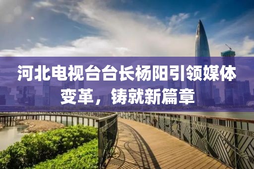 河北电视台台长杨阳引领媒体变革，铸就新篇章