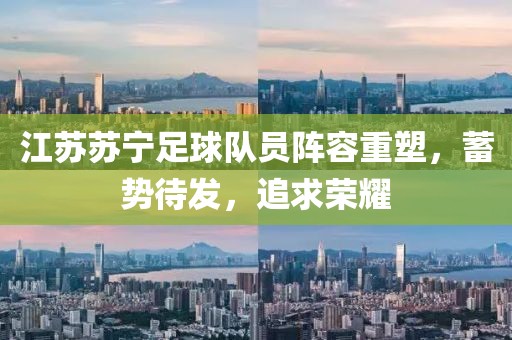 江苏苏宁足球队员阵容重塑，蓄势待发，追求荣耀