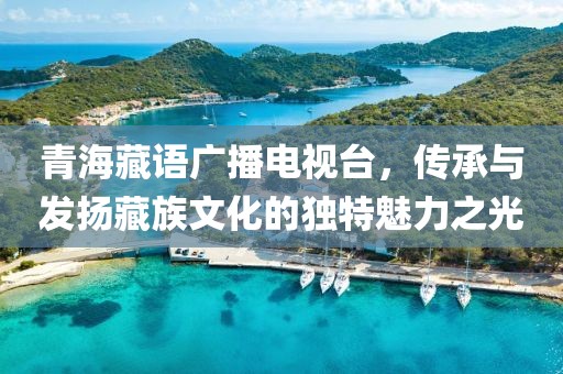 青海藏语广播电视台，传承与发扬藏族文化的独特魅力之光