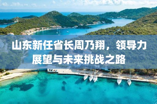 山东新任省长周乃翔，领导力展望与未来挑战之路