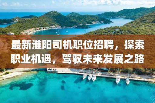 最新淮阳司机职位招聘，探索职业机遇，驾驭未来发展之路