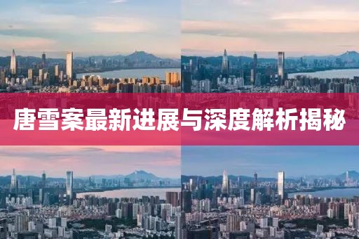 唐雪案最新进展与深度解析揭秘