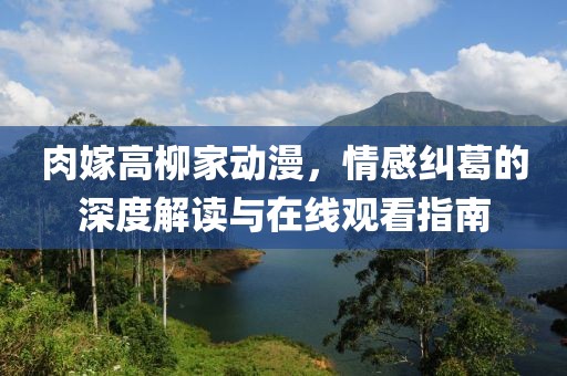 肉嫁高柳家动漫，情感纠葛的深度解读与在线观看指南
