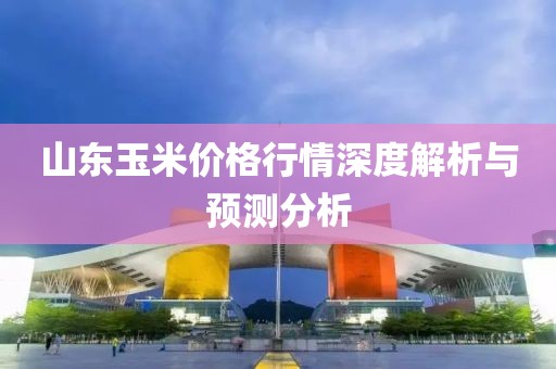 山东玉米价格行情深度解析与预测分析