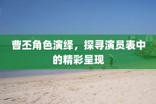 曹丕角色演绎，探寻演员表中的精彩呈现