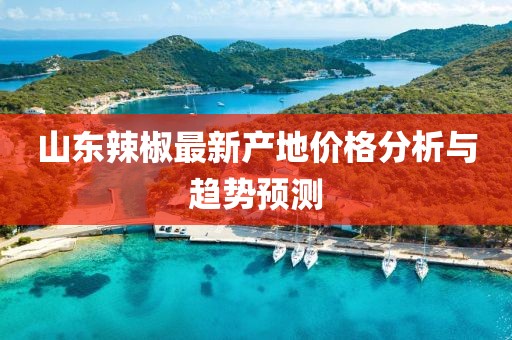 山东辣椒最新产地价格分析与趋势预测
