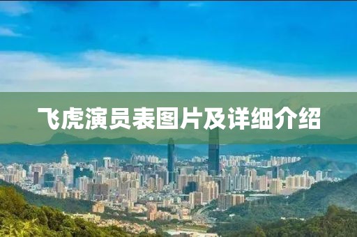 飞虎演员表图片及详细介绍