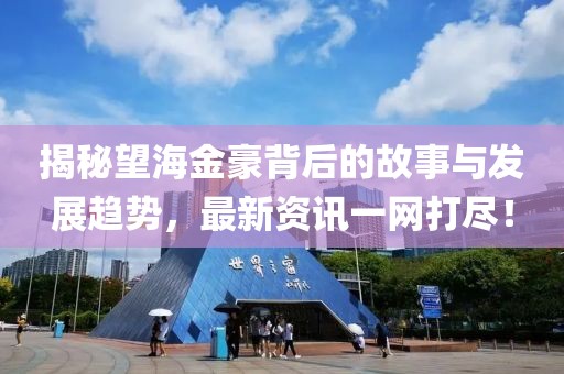 揭秘望海金豪背后的故事与发展趋势，最新资讯一网打尽！