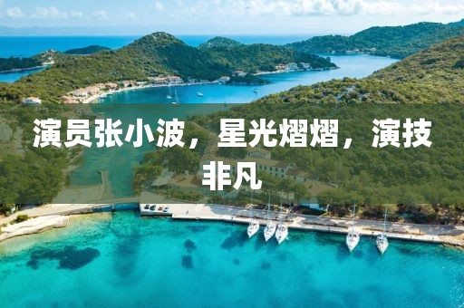 演员张小波，星光熠熠，演技非凡