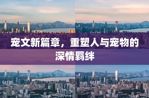 宠文新篇章，重塑人与宠物的深情羁绊