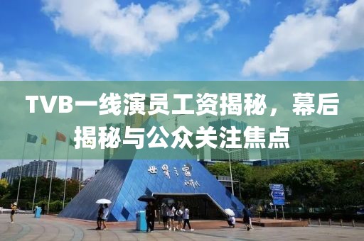 TVB一线演员工资揭秘，幕后揭秘与公众关注焦点