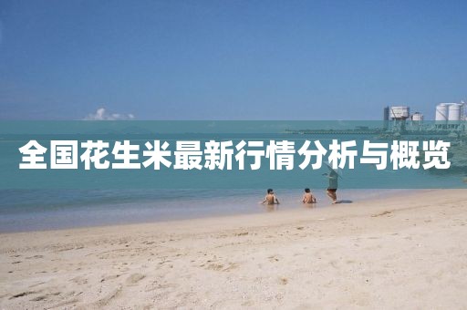 全国花生米最新行情分析与概览