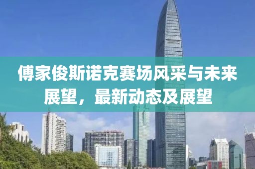 傅家俊斯诺克赛场风采与未来展望，最新动态及展望