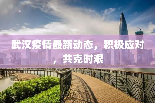 武汉疫情最新动态，积极应对，共克时艰