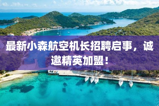 最新小森航空机长招聘启事，诚邀精英加盟！