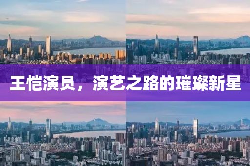王恺演员，演艺之路的璀璨新星