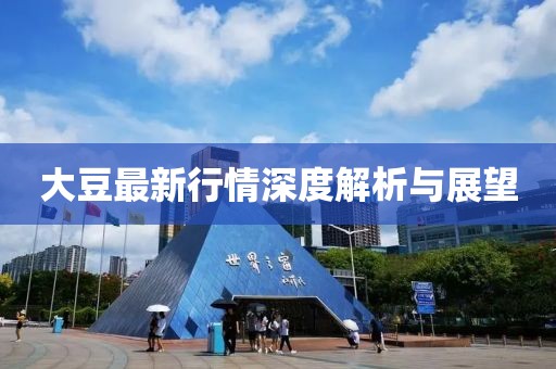 大豆最新行情深度解析与展望