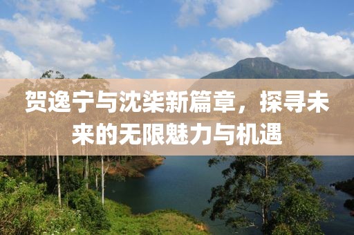贺逸宁与沈柒新篇章，探寻未来的无限魅力与机遇
