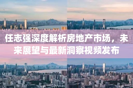 任志强深度解析房地产市场，未来展望与最新洞察视频发布